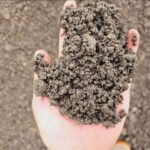 Asphalt Milling Installation vs. Asphalt Paving: A Cheaper Alternative?