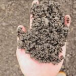 Asphalt Milling Installation vs. Asphalt Paving: A Cheaper Alternative?